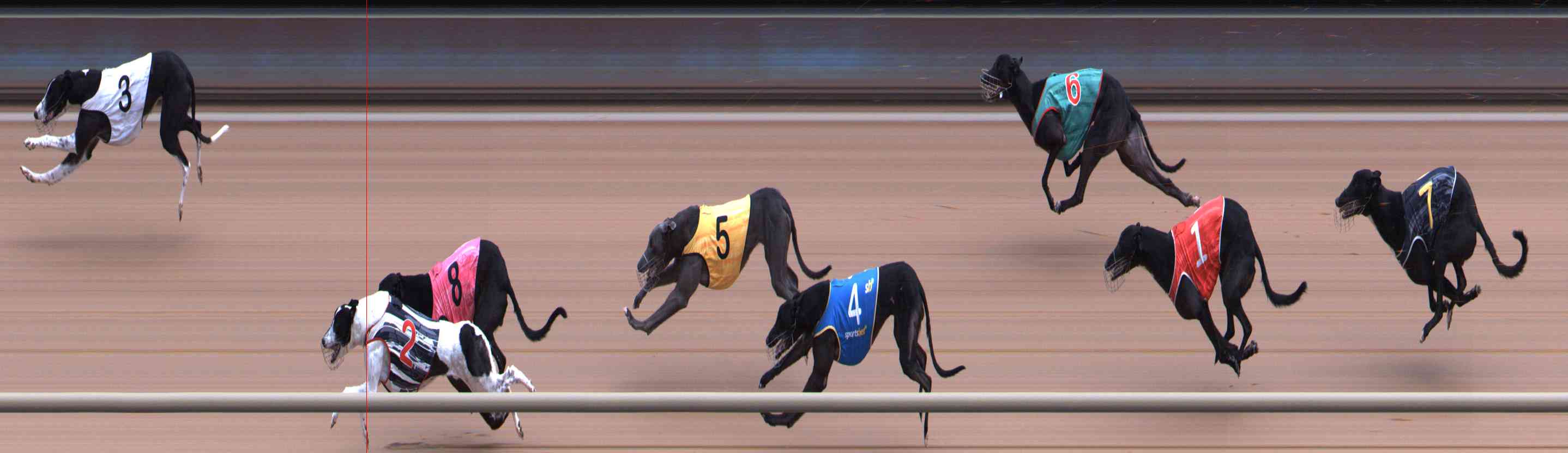 Race result finish photo